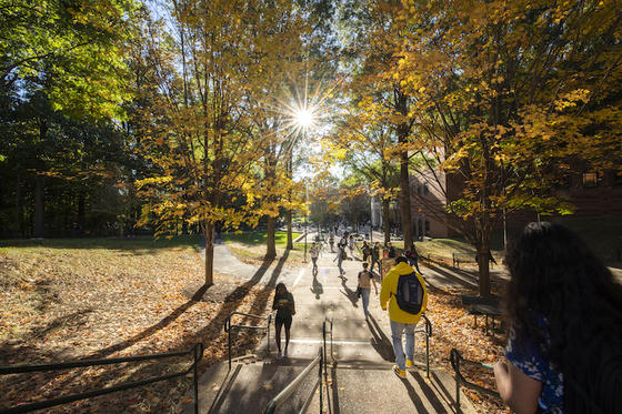 campus autumn